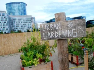 Urban Gardening (Foto: Archiv KG K&uuml;snacht)