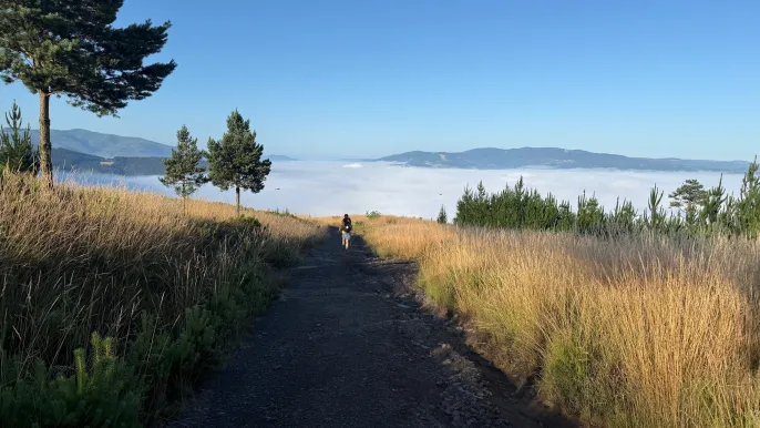 Jakobsweg_RWE (Foto: René Weisstanner) Jakobsweg_RWE (Foto: René Weisstanner)