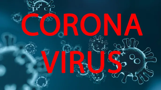coronavirus (Foto: Sandra M&auml;der)